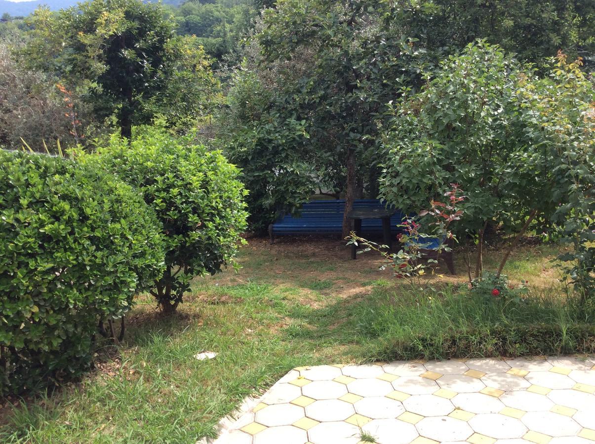 Guest House Dali 加格拉 外观 照片