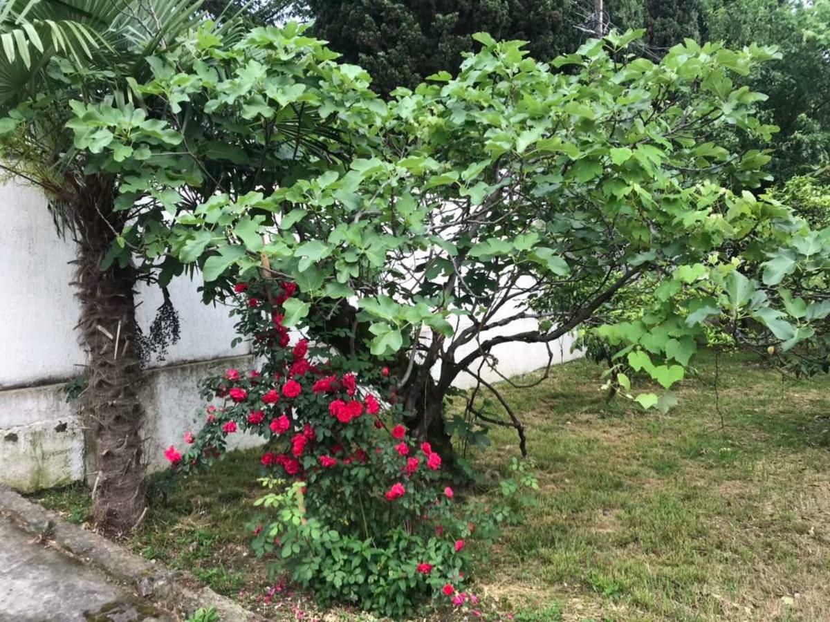 Guest House Dali 加格拉 外观 照片
