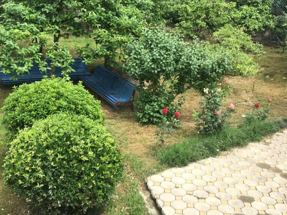 Guest House Dali 加格拉 外观 照片